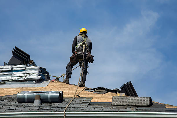 Professional Roof Replacement technician working in Rock View, WV